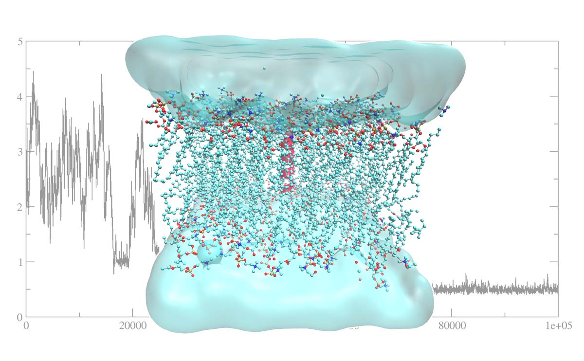 molecular dynamics simulation