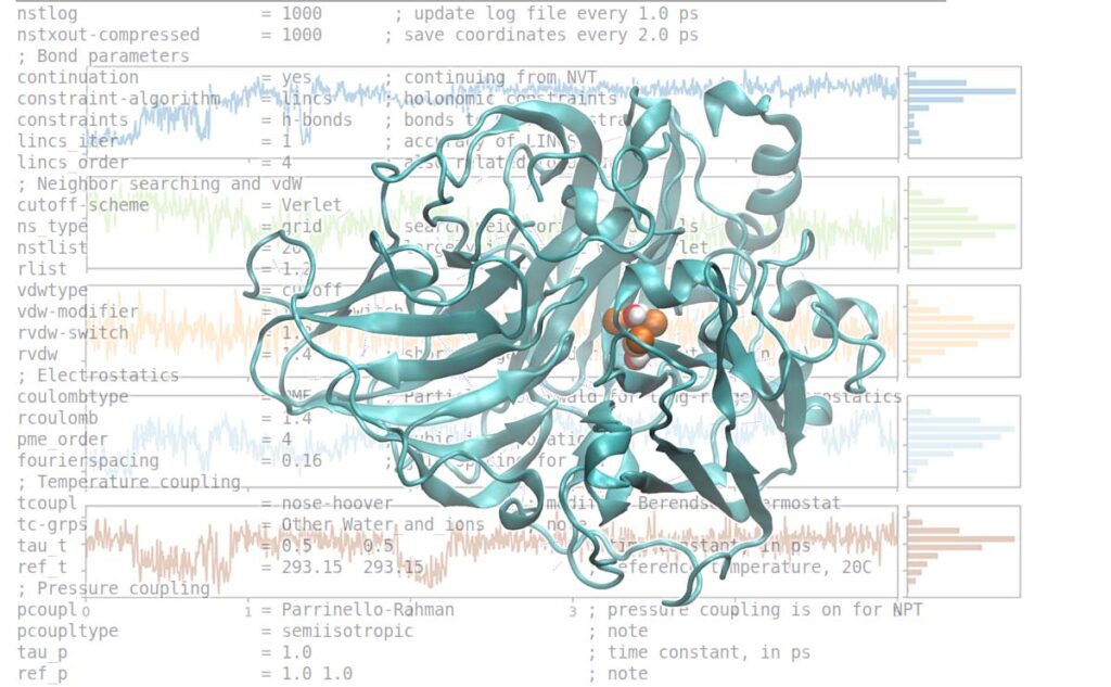 molecular dynamics simulation