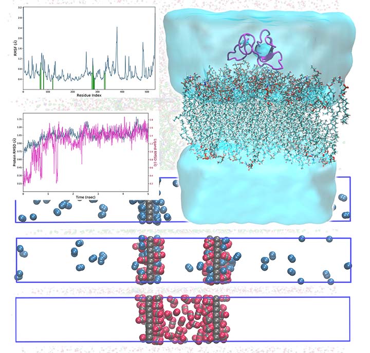 in silico methods: Monte Carlo and Molecular dynamics simulations