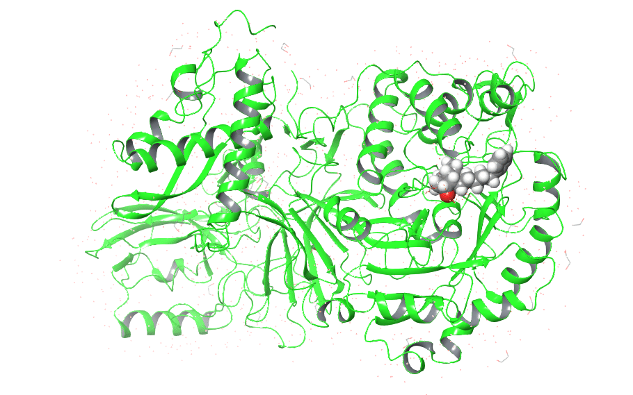 in silico meaning: in silico drug design and in silico drug discovery