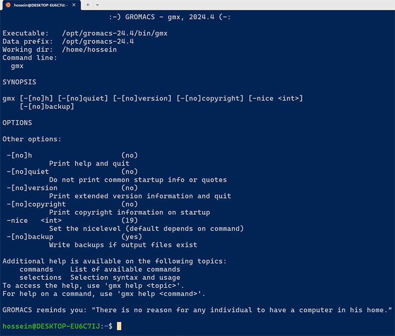 the gmx command output in WSL